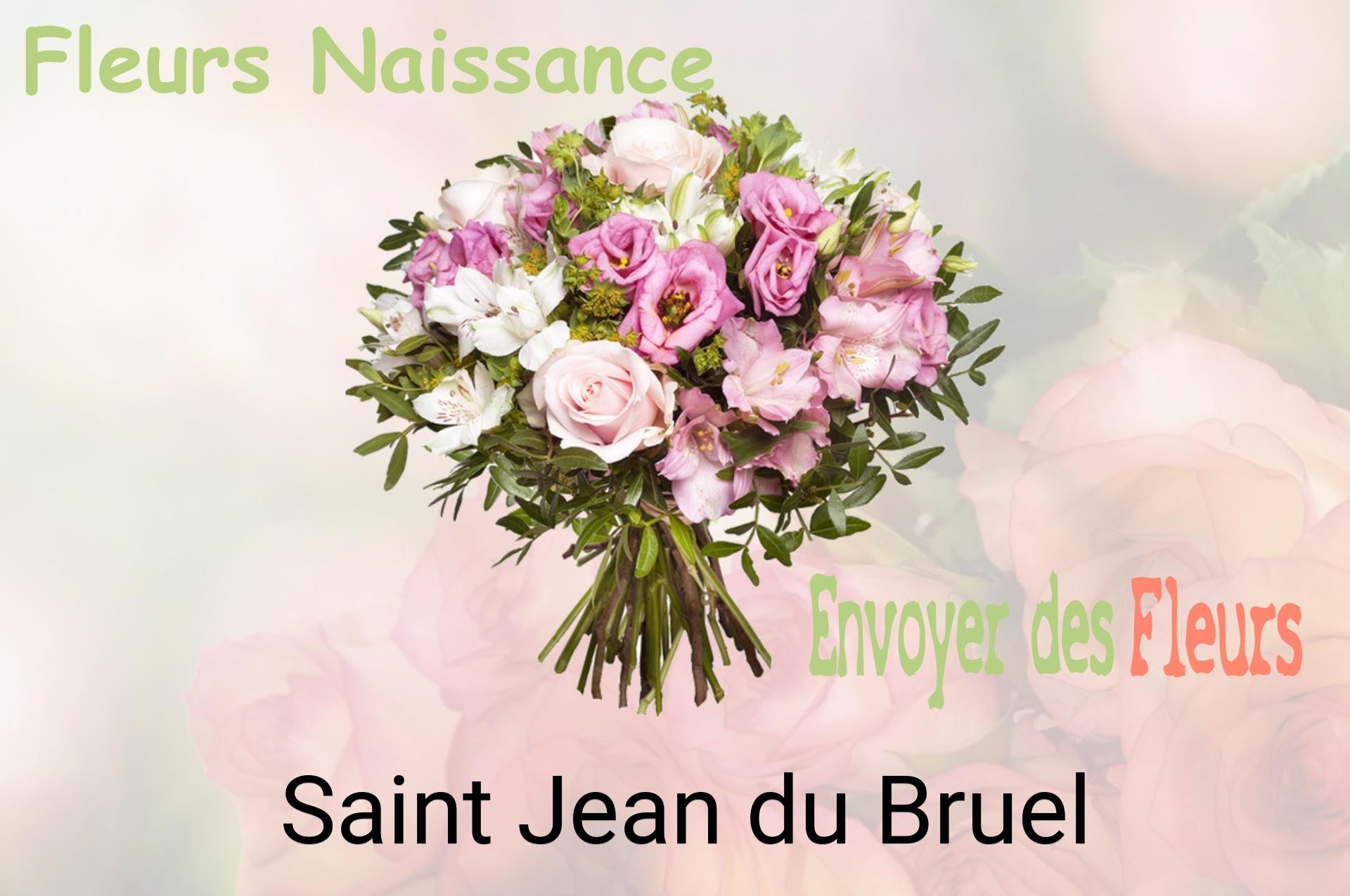 Bouquet de fleurs de naissance livré à Saint-Jean-du-Bruel
