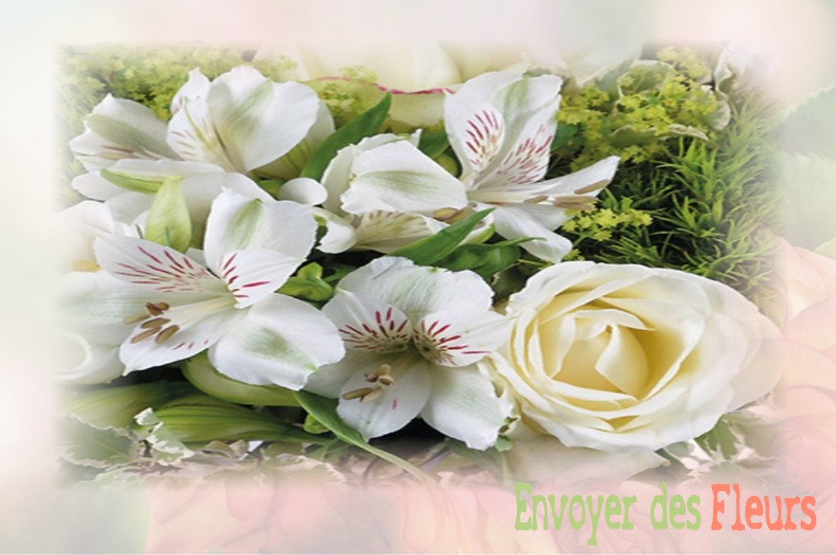 envoyer des fleurs à à SAINT-JEAN-DU-BRUEL